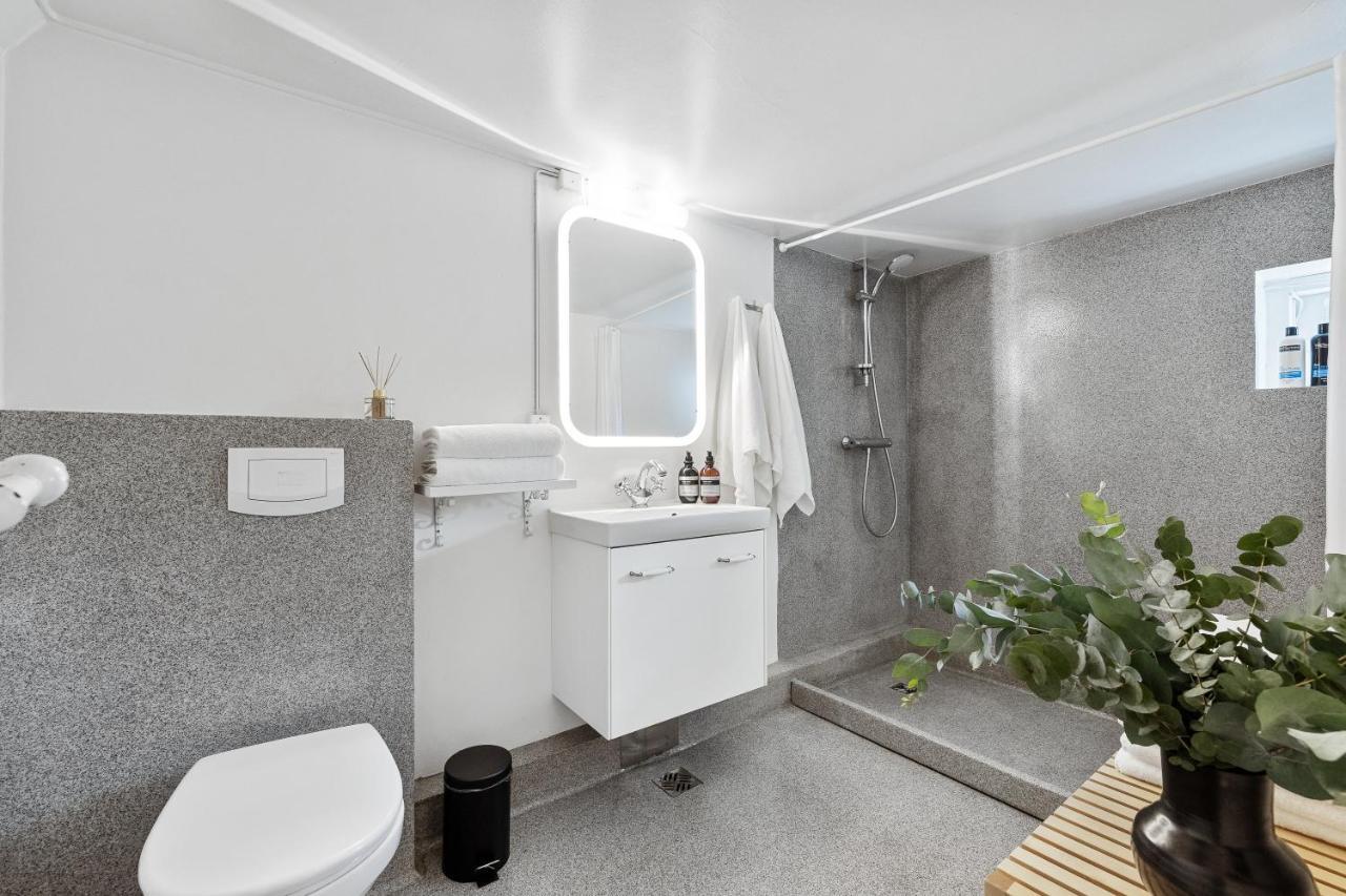 Luxury Villa In Downtown רייקיאוויק מראה חיצוני תמונה